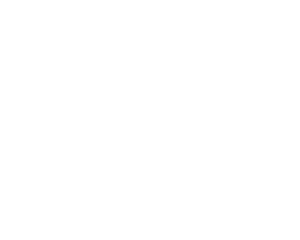 don-leone-ovengerechten-logo-hoofd-naam-italiaans